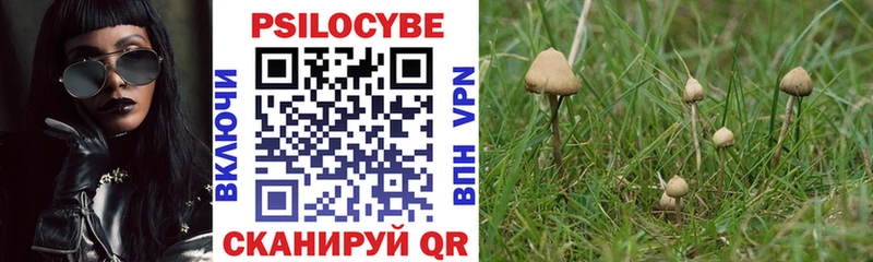 Псилоцибиновые грибы Psilocybe  Купить  Каспийск 